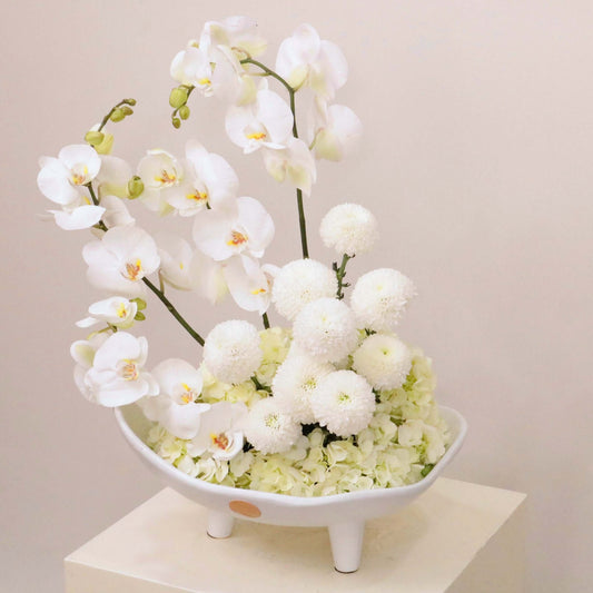 Sonus Albus floral arrangement with white Phalaenopsis orchid, hydrangeas, and ping-pong blooms in elegant display.
