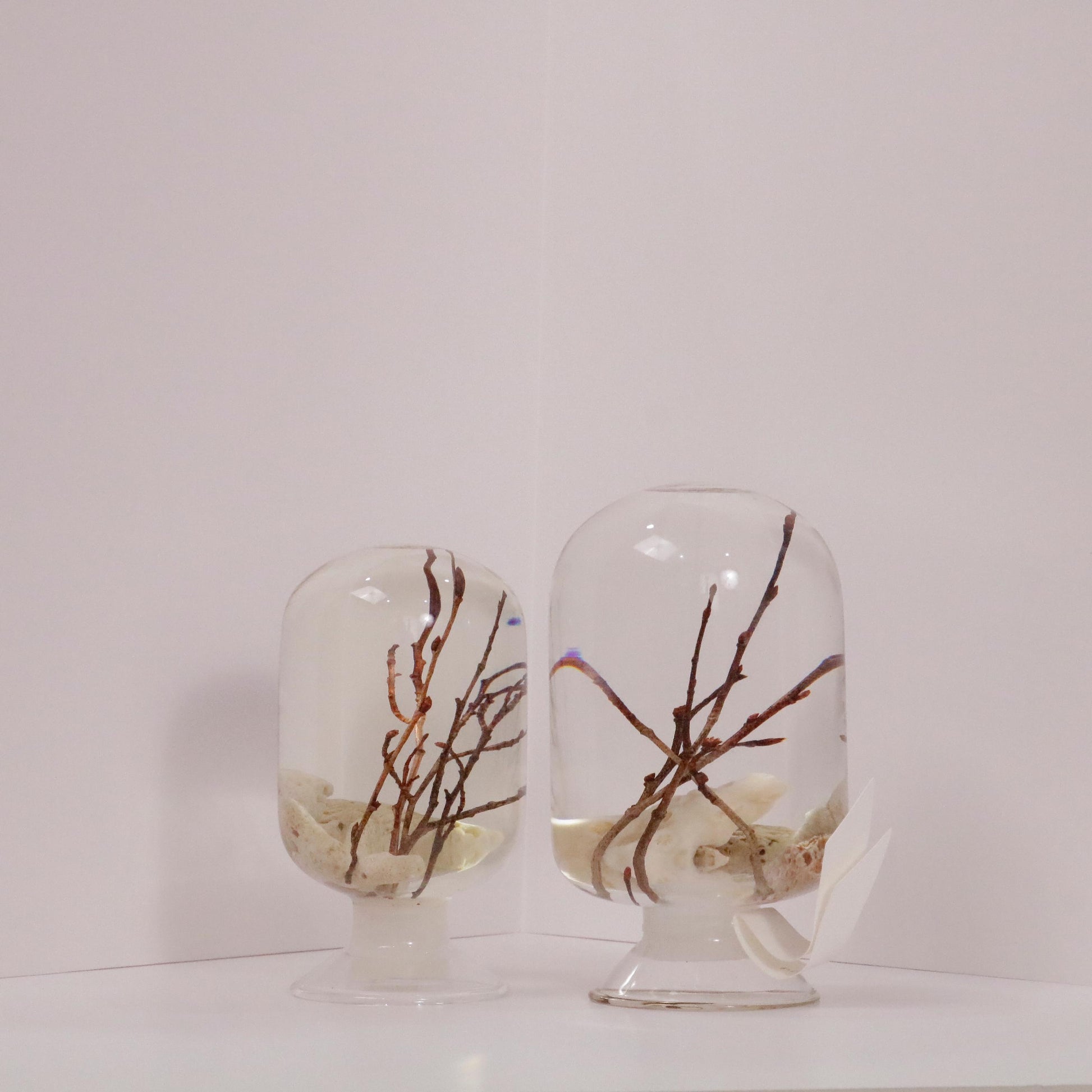 Corale Zelkova diffuser by Style Jieum, featuring branches and coral tones, evoking a serene forest retreat atmosphere.