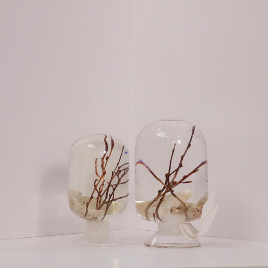 Corale Zelkova diffuser by Style Jieum, featuring branches and coral tones, evoking a serene forest retreat atmosphere.
