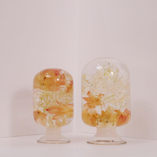 Cooktown Orchid by Style Jieum decorative pieces in glass domes, inspired by Australia's national flower, symbolizing elegance and beauty.