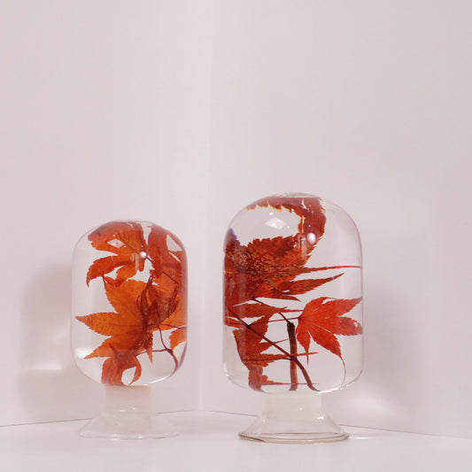 Maple leaves encased in glass domes, capturing autumn elegance from the Pieces of Time collection by Style Jieum.
