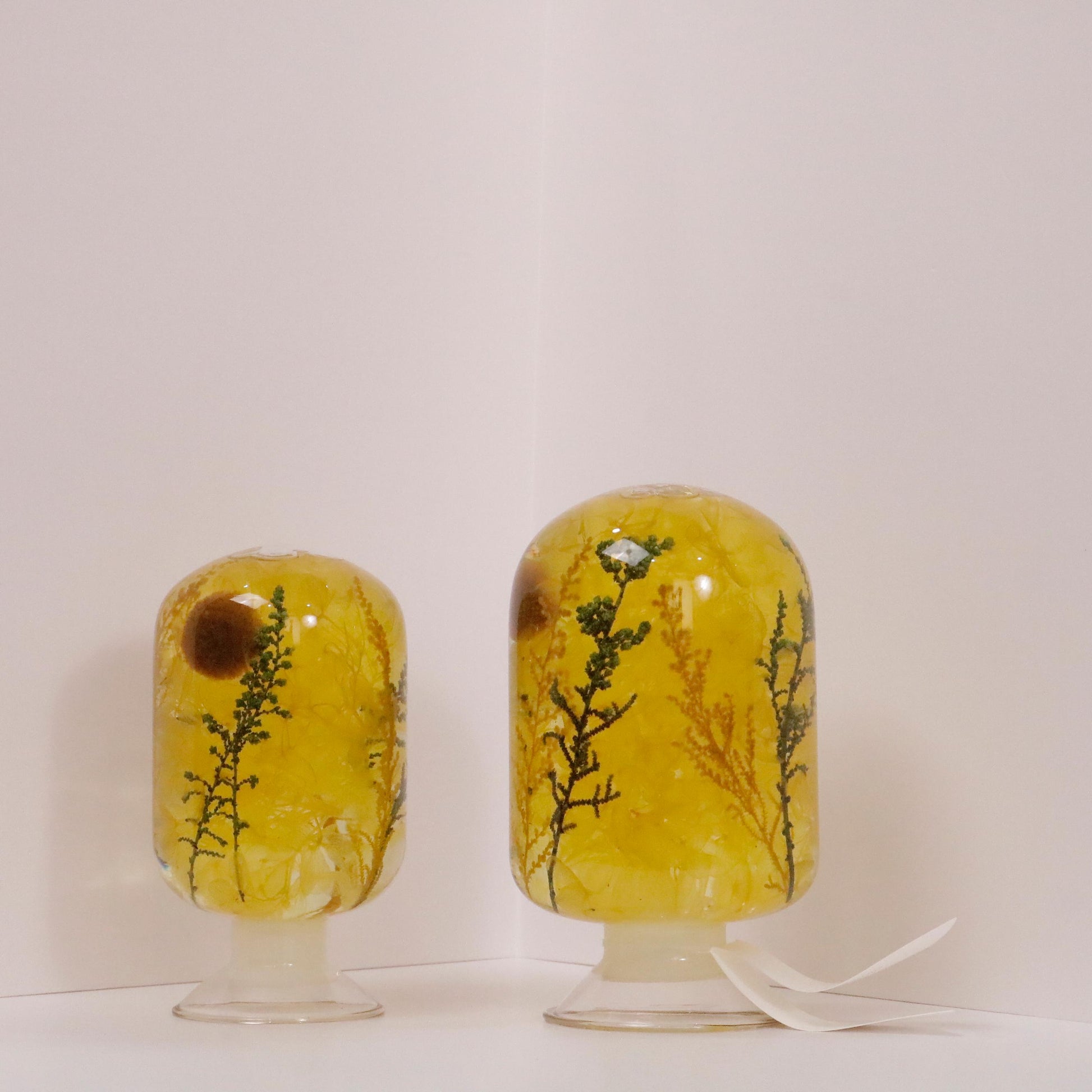 Jieum Spring art pieces by Style Jieum in yellow floral design, available in 500ML and 250ML, showcasing minimalist Korean spring art.