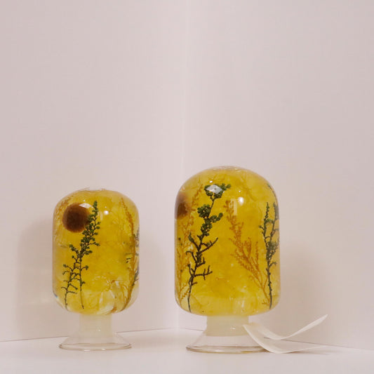 Jieum Spring art pieces by Style Jieum in yellow floral design, available in 500ML and 250ML, showcasing minimalist Korean spring art.