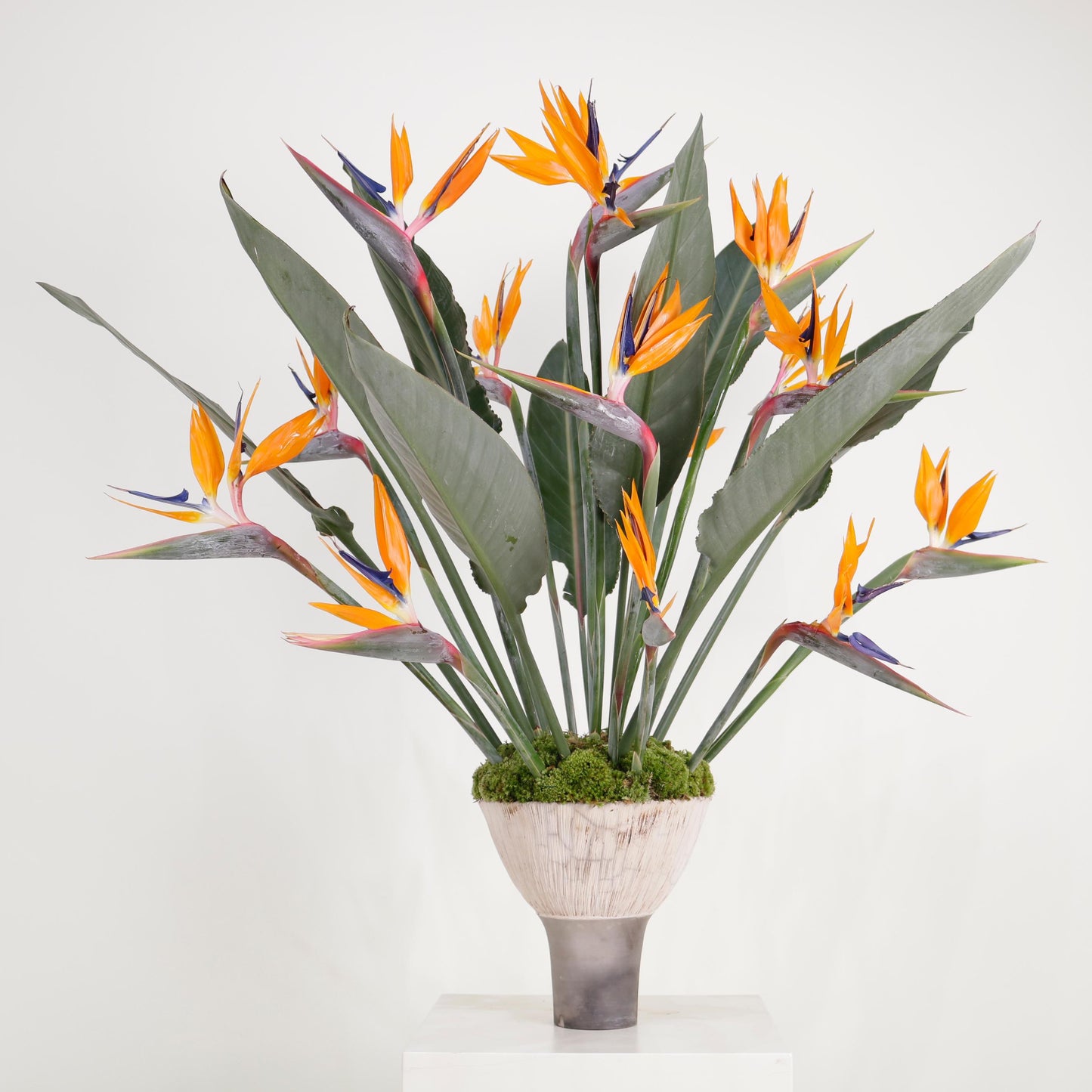 Vitali Monthly Flower Subscription