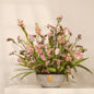Blossom Symphony luxury floral arrangement premium handcrafted seasonal blooms elegant gifting Kuwait Vitali Concept