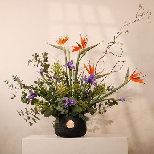 Bird of Paradise Gallery luxury floral arrangement exotic Strelitzia regal Iris matte black vessel Kuwait Vitali Concept