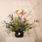 Bird of Paradise Gallery luxury floral arrangement exotic Strelitzia regal Iris matte black vessel Kuwait Vitali Concept