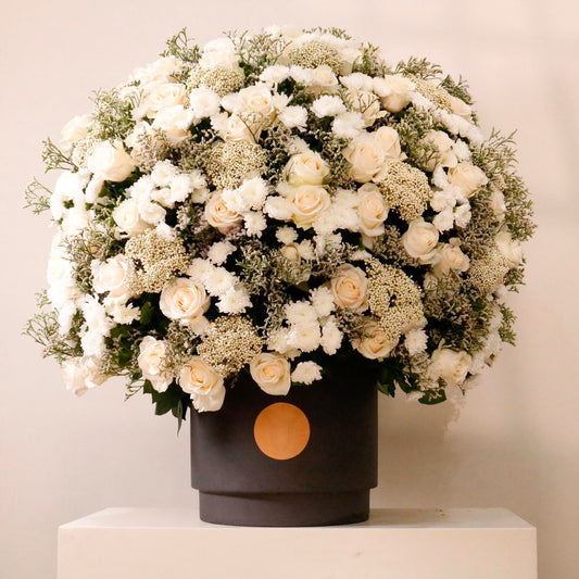 Gardenia Imperial