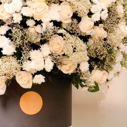 Gardenia Imperial