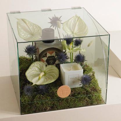 Lamborghini car diffuser set in elegant glass box with lush greenery, featuring aromatic diffuser and candle for luxury scent experience.