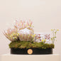 Eid celebration gift with King Protea, Matricaria flowers, and Swiss chocolates in an elegant arrangement tray.
