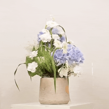 Caelum – A Whisper of Sky