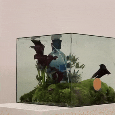 Culti MAREMINERALE BLU