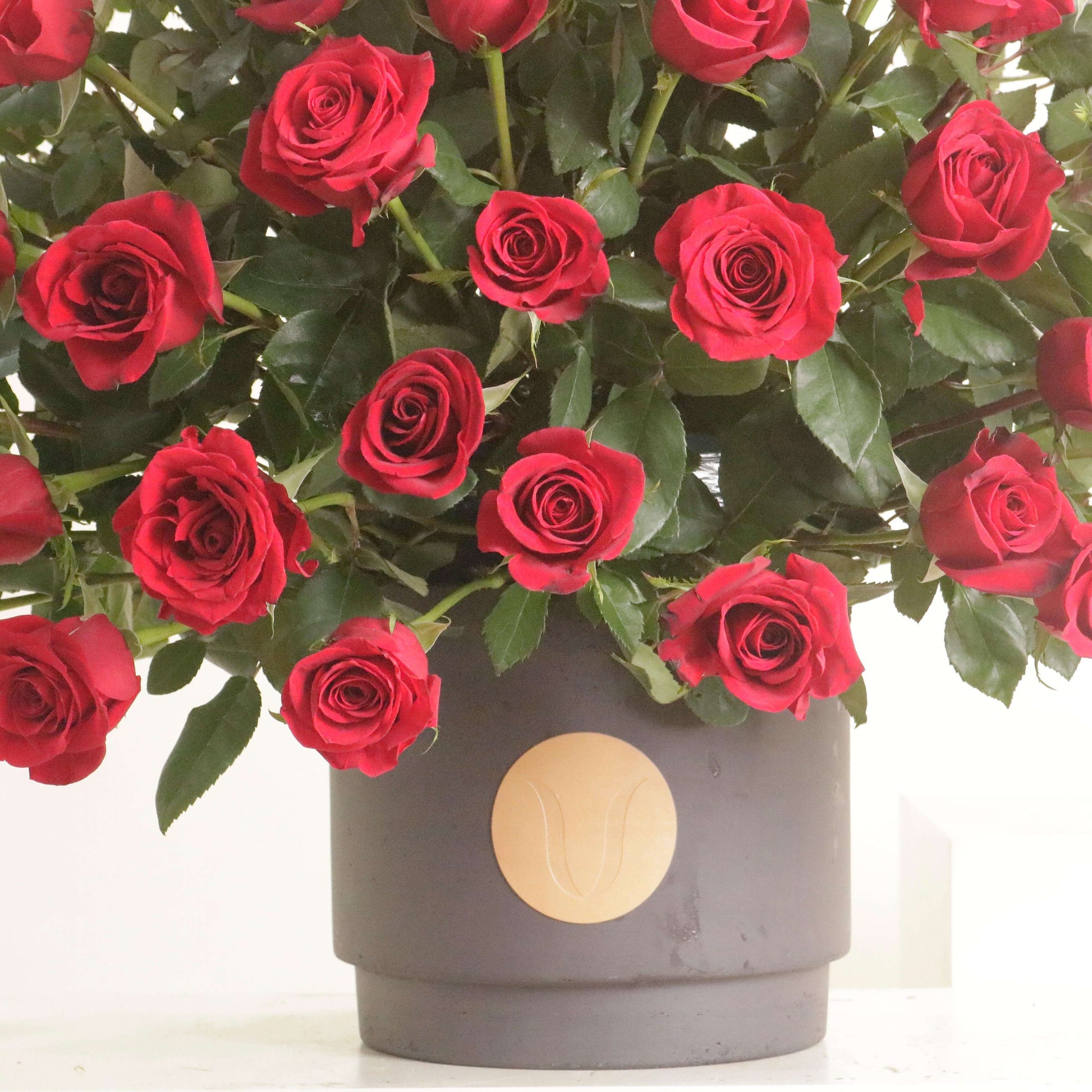 Elegant arrangement of 100 red roses in a garden-style, Victorian-inspired vase, expressing deep passion and timeless devotion.