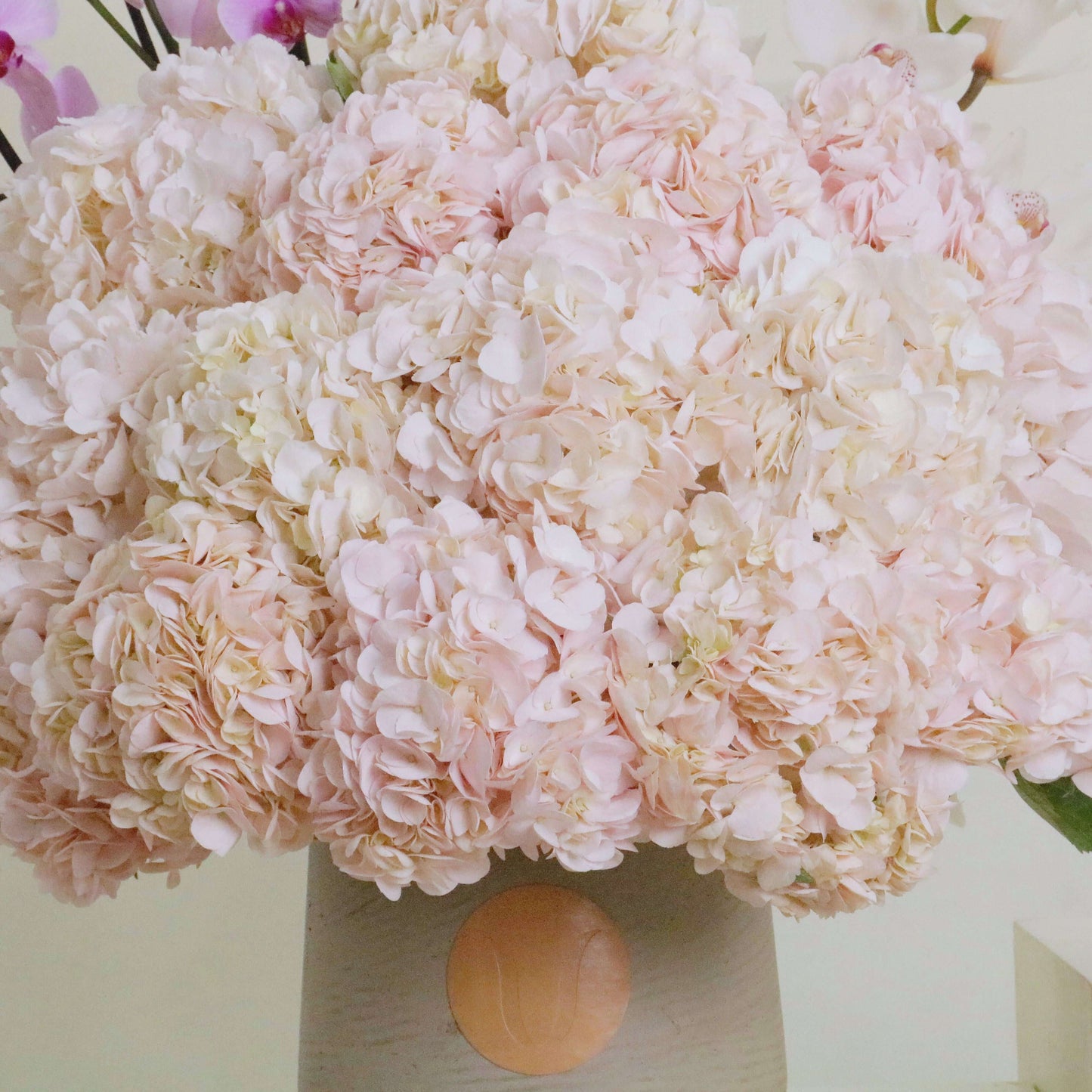 Pink hydrangea floral arrangement in vase, soft petals, romantic home decor.