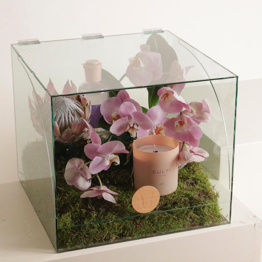 ALBA SET Diffuser