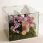 ALBA SET Diffuser