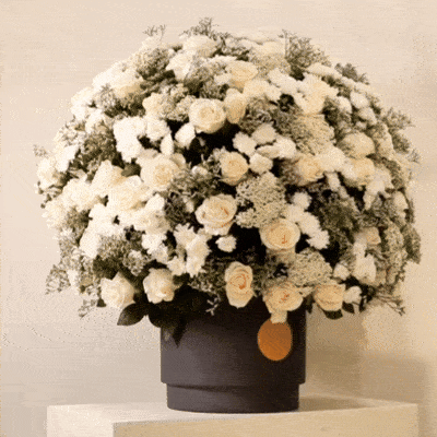 Luxury white spray rose arrangement in matte black vase, Vitali Concept Kuwait