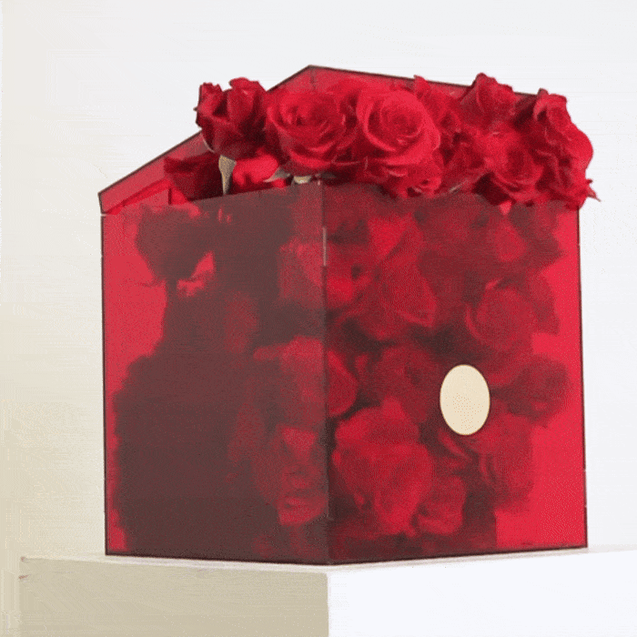 Luxurious box of 50 hand-selected Royal Roses, perfect for romantic occasions like anniversaries and Valentine's Day.
